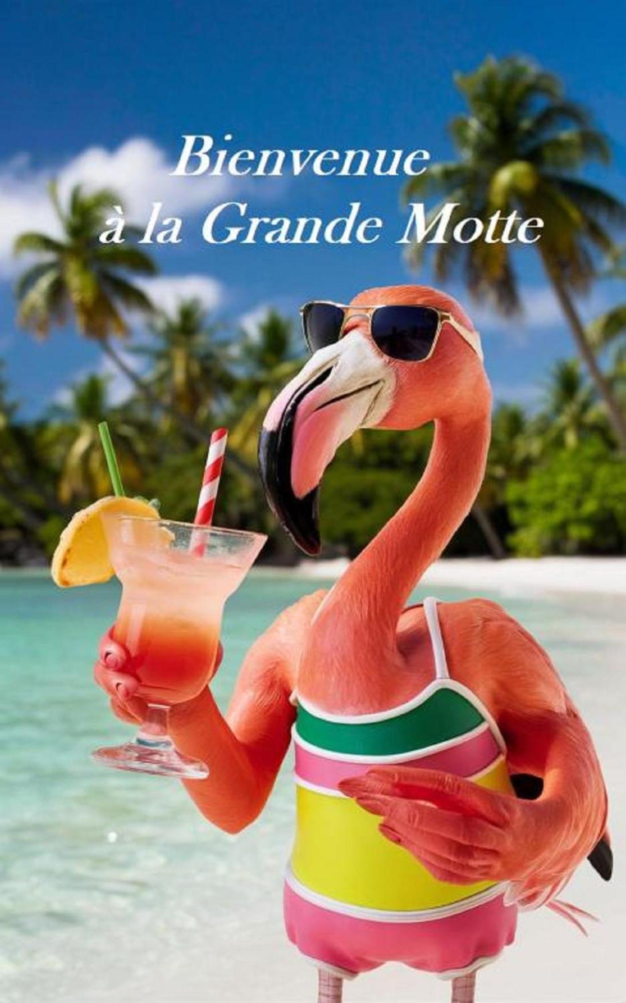 Mes Vacances A La Mer Studio 4 Pers, Parking Prive, Wifi, Linges Fournis, Climatisation La Grande-Motte Exterior photo